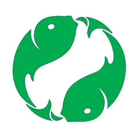 锦鲤知识产权 logo